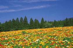 クリニック外観